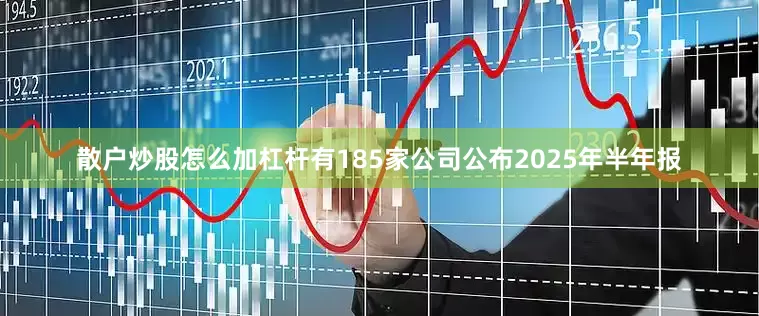 散户炒股怎么加杠杆有185家公司公布2025年半年报