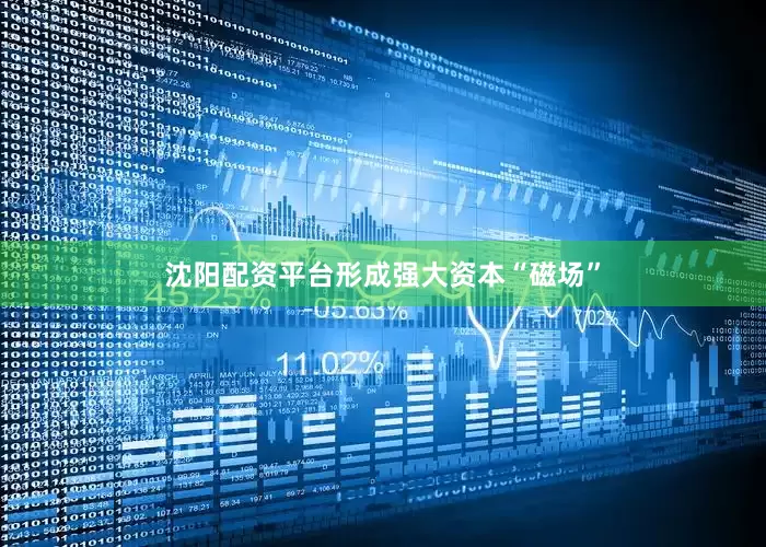 沈阳配资平台形成强大资本“磁场”